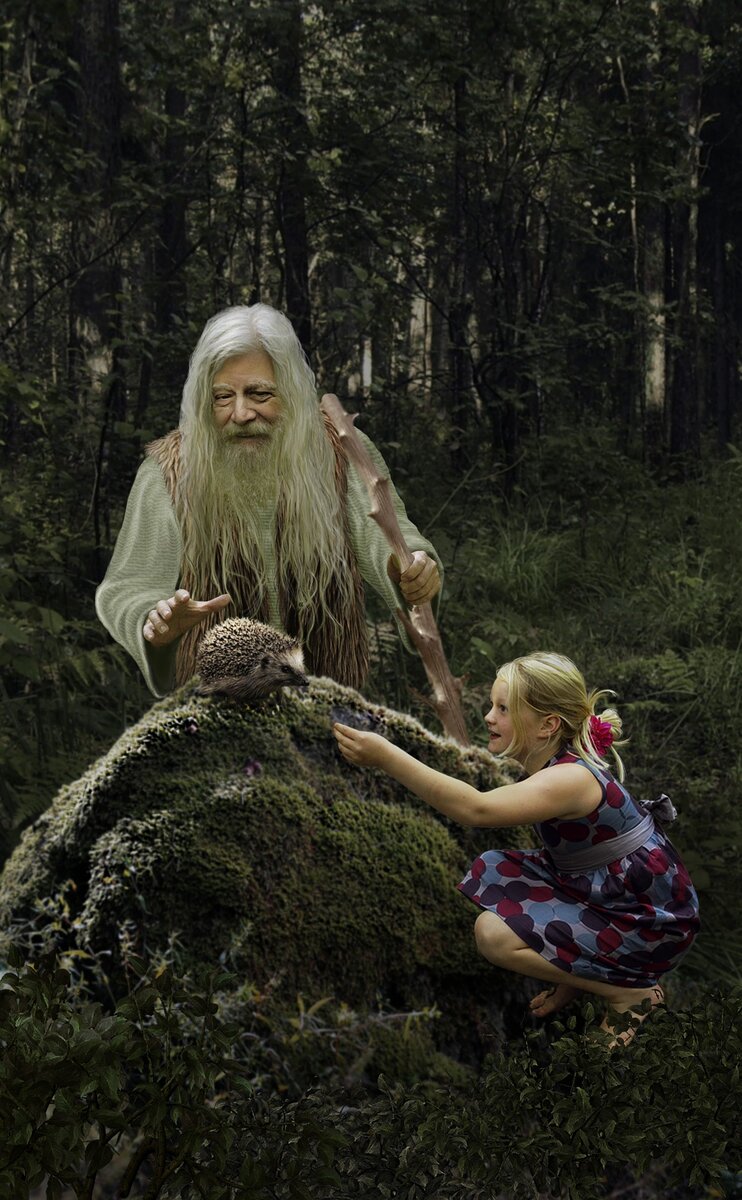 Некое изображение старца. Назовем его лешим.