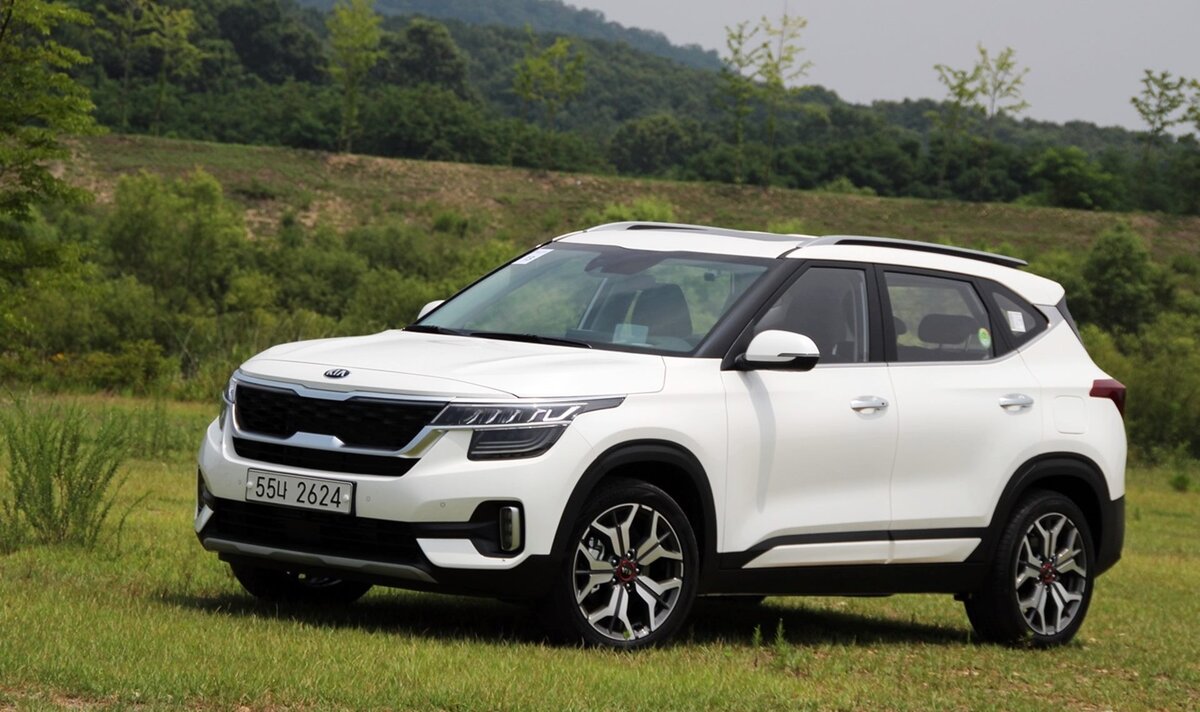 Фото взято из открытого источника.