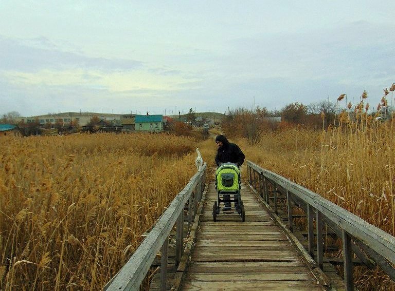 Кот сопровождал. 