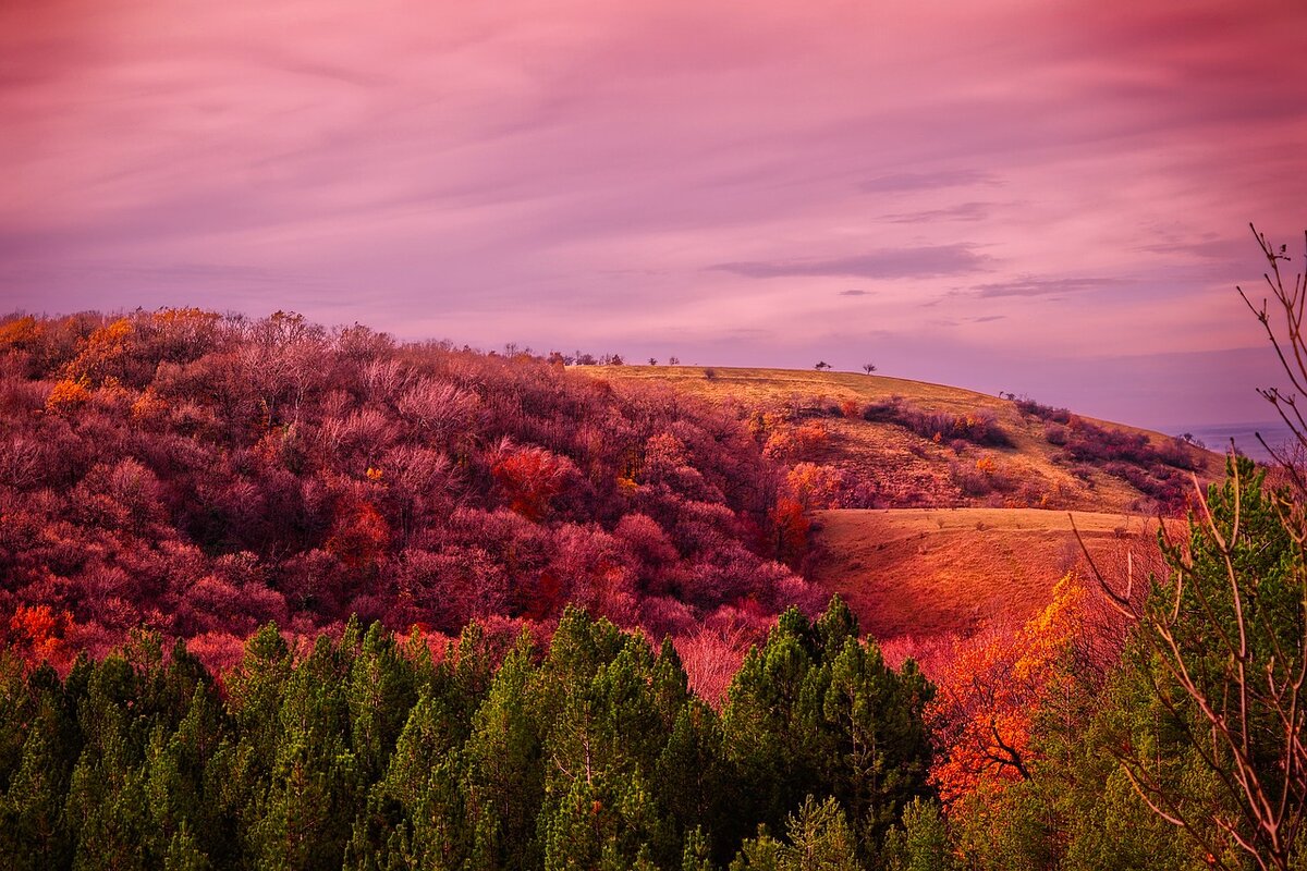Изображение David Mark с сайта Pixabay