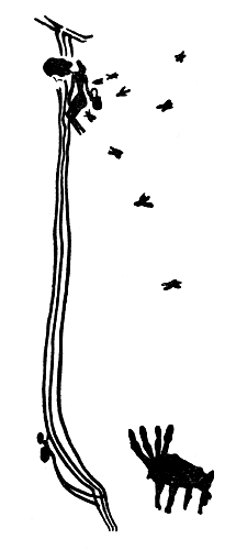 Рис. 19. Бикорпский человек поднимающийся по лианам к гнезду пчёл.