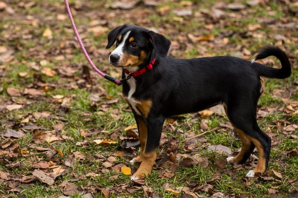 вот так и мы сейчас...