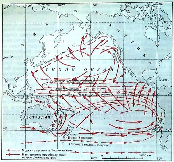 Господствующие течения и ветра Тихого океанв