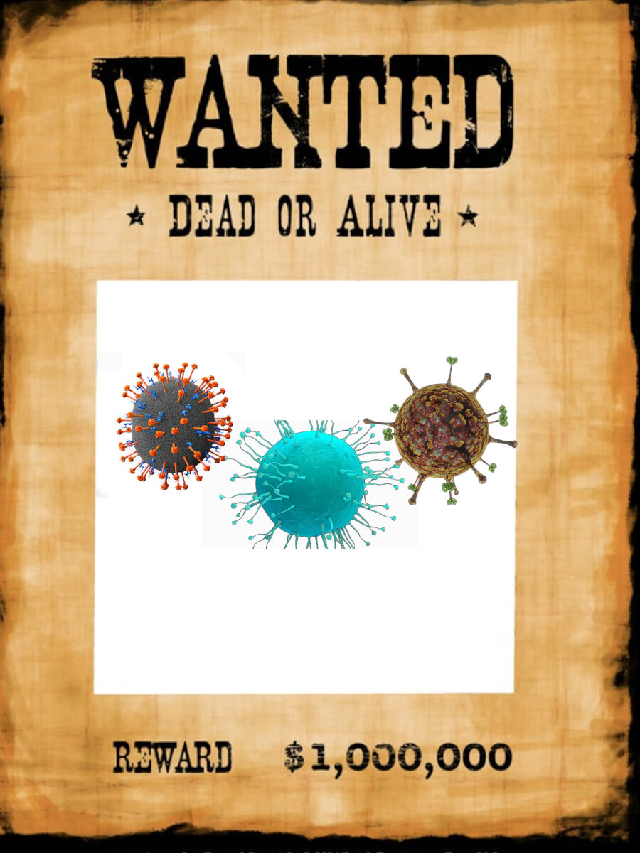 Банда Henipavirus