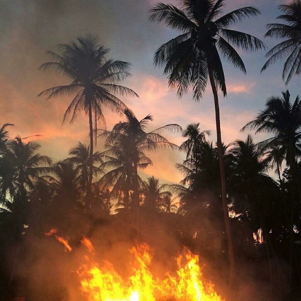 Жизнь-это самое удивительное шоу на свете