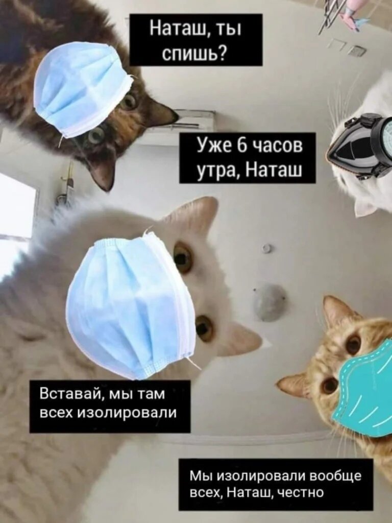 фото из открытого источника