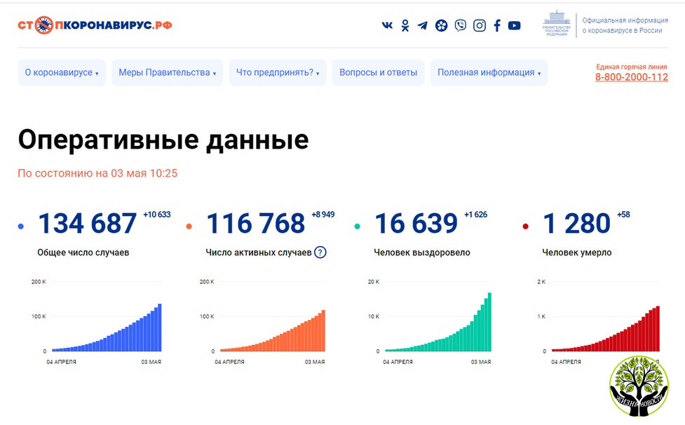 Данные с официального сайта стопкоронавирус.рф
