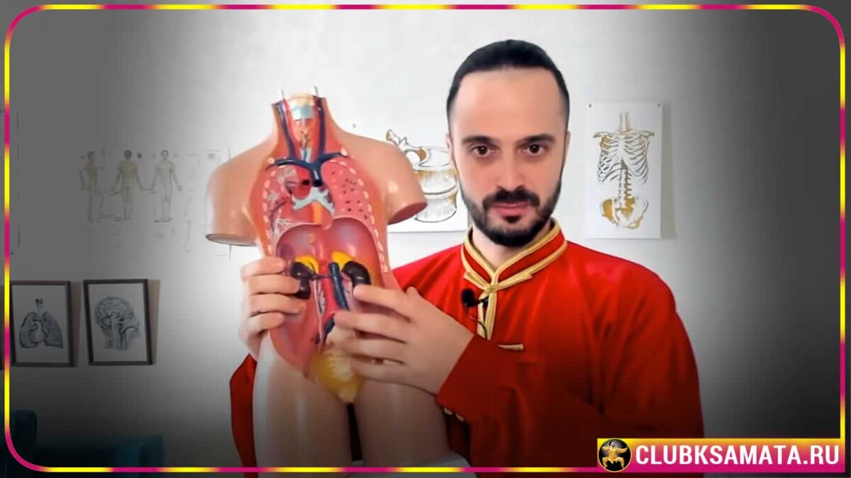 Доброго здоровья, читатель Яндекс.Дзен!