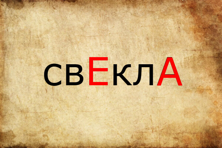 СвЕкла или свеклА? Или всё же свЁкла? 