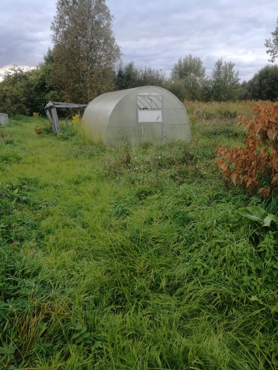 А это еще один заброшенный участок. Наверное, есть люди, которым нравится такая картина. Мне - нет. Не люблю запущенности, она ведет к безысходности и унынию.