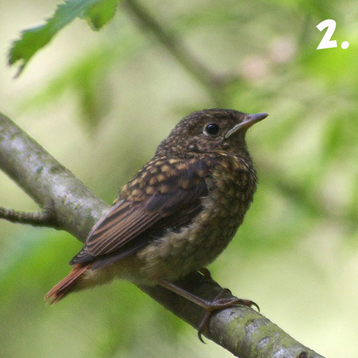 Фото: Анна Дмитриева и Владимир Мельников.
