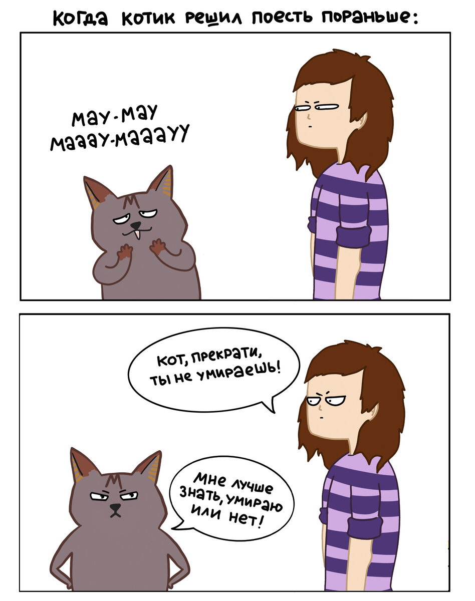 Котики решают, когда им есть, и плевать на то, что на упаковке корма написана дневная норма. Что за чушь! Это же люди писали, а они в котиках ничего не понимают!