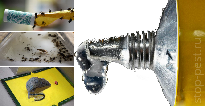 фото сайта https://stop-pest.ru
