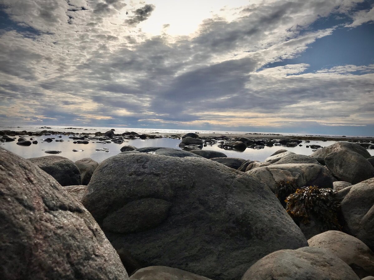 Приливы в белом море. Отлив воды. Прилив фото. Ale_Travelena.