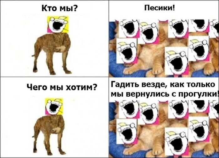 Мемы про собак | Мемоделов | Дзен