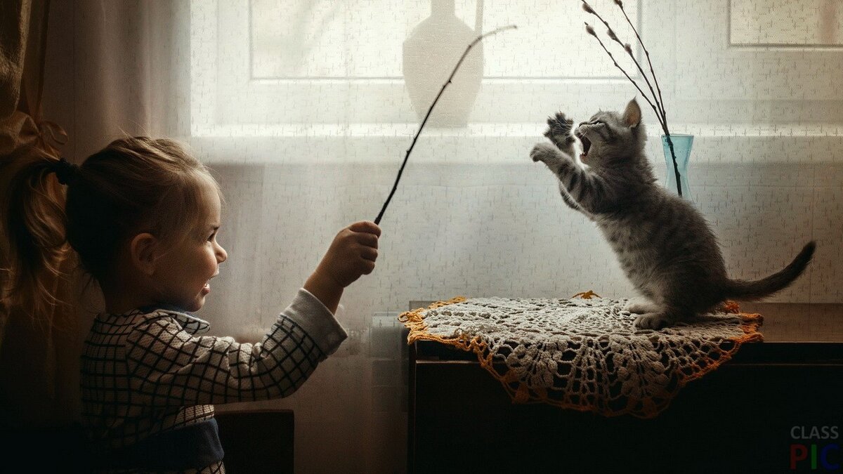 Яндекс-фото