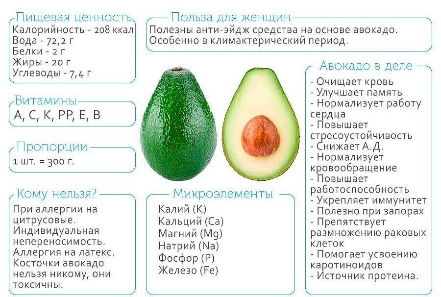 Оно насыщает воздух влагой, благотворно влияет на эмоциональное и физическое состояние человека. Листья и стебли, впитывая в себя углекислый газ, преобразуют его в кислород, так необходимый всем живым существам. Специалисты фэн-шуй заверяют, что авокадо усиливает любовную энергетику дома, и рекомендуют супружеским парам ставить его в спальню для сохранения романтических и страстных отношений.  