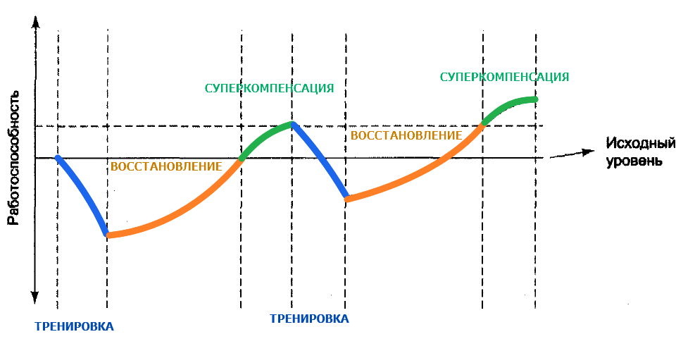 Частота тренировок