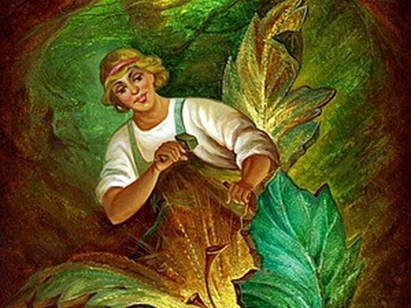 яндекс картинка