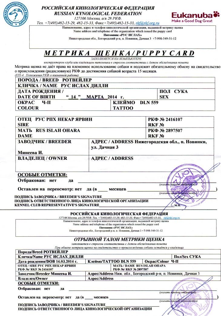   Пример метрики                                                                                                                                                              https://zelenyjmir.ru/wp-content/uploads/2019/10/Metrika.jpg