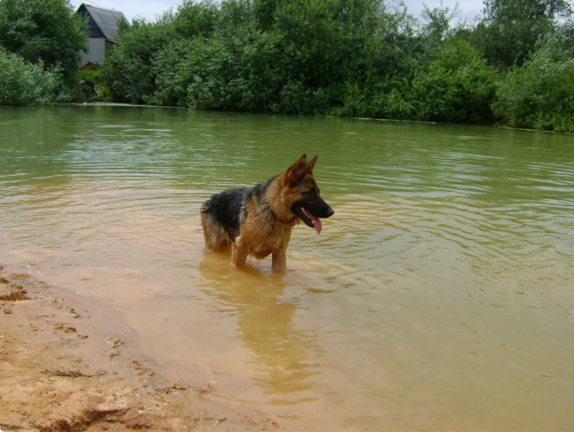 Водные процедуры