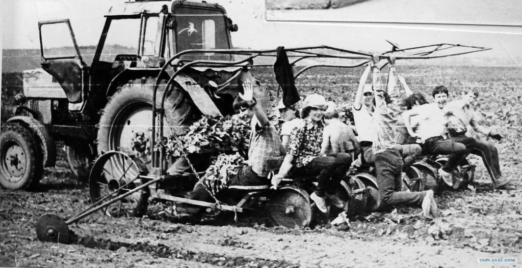 летний трудовой лагерь 