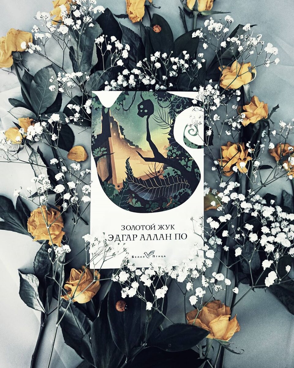 Эдгар Аллан По - Золотой Жук.  Обложка книги