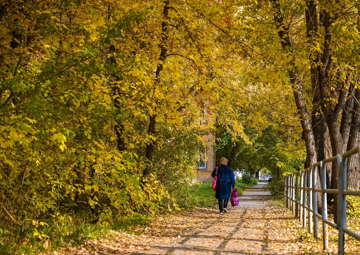 По ночам на Южном Урале холодно, днем солнечно и тепло. Фото Людмилы Ковалевой (Южноуральская панорама)