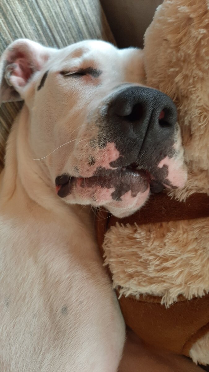 Моя Мишель ❤ 