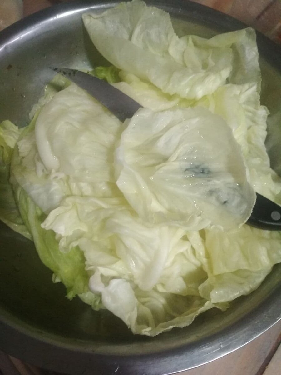 Фото автора из личного архива