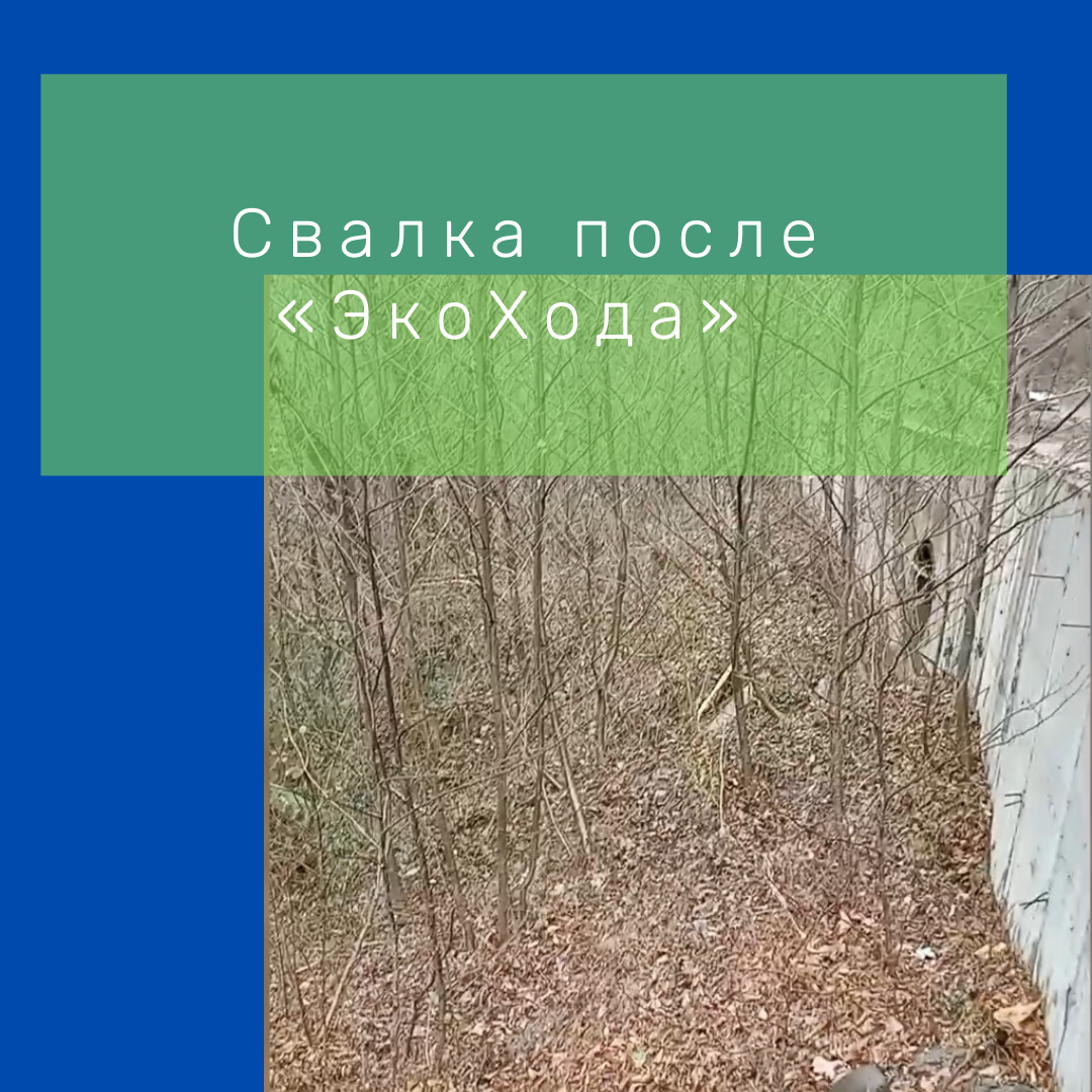 Расчищенная свалка вдоль дороги к селу Бзогу