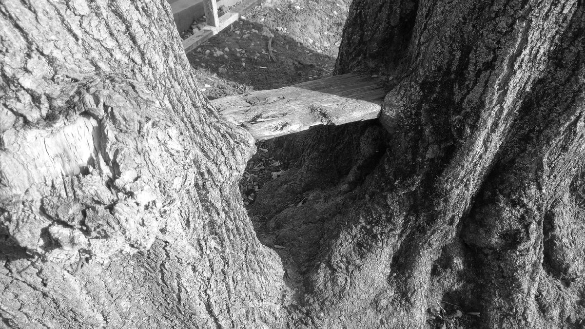 Как вам лавочка? Мне тоже нравится. Место. Московские дворы. 