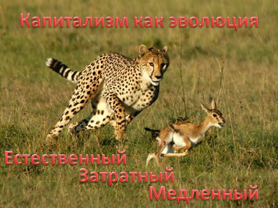 Капитализм как эволюция. Естественный, затратный, медленный