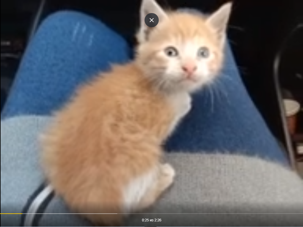 Это я уже высох.Листайте.