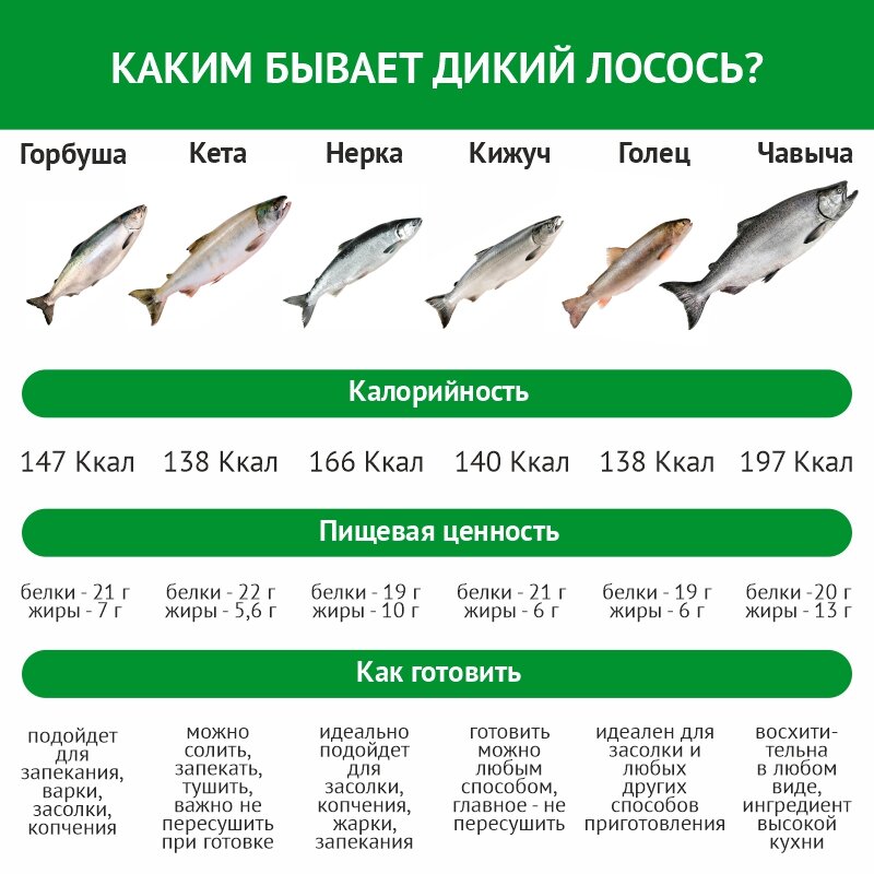 Кета калорийность на 100. Кета и горбуша КБЖУ. Таблица жирности рыбы из лососевых. Как отличить сёмгу от других лососевых. Кижуч рыба калорийность.