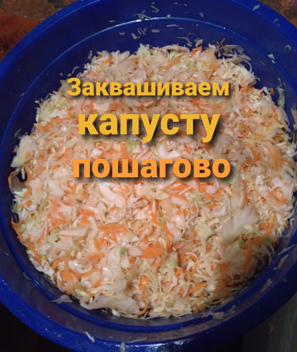 Очень аппетитно смотрится капустка. Приготовили смесь капусты, моркови и соли к заквашиванию