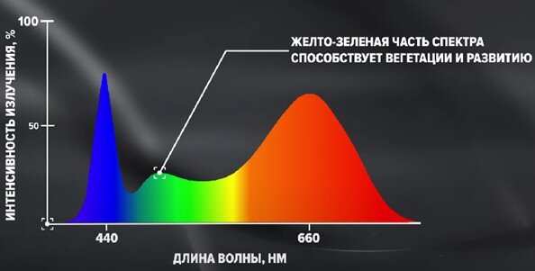 Полно-спектральный светильник