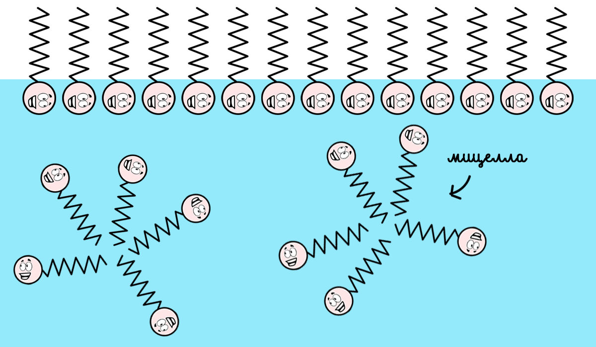 Весёлый шарик - это любитель воды, а зигзаг - воды боится и от неё отворачивается. Это и есть ПАВ. Рисунок из интренета: https://2.bp.blogspot.com 