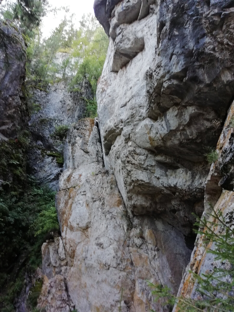 Дух тайги. Я его отчётливо вижу! Фото автора.