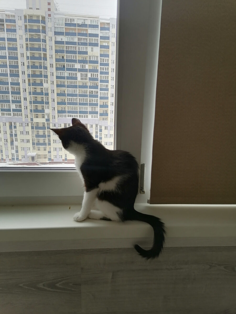 Бдить надо, Надька. Бдить.