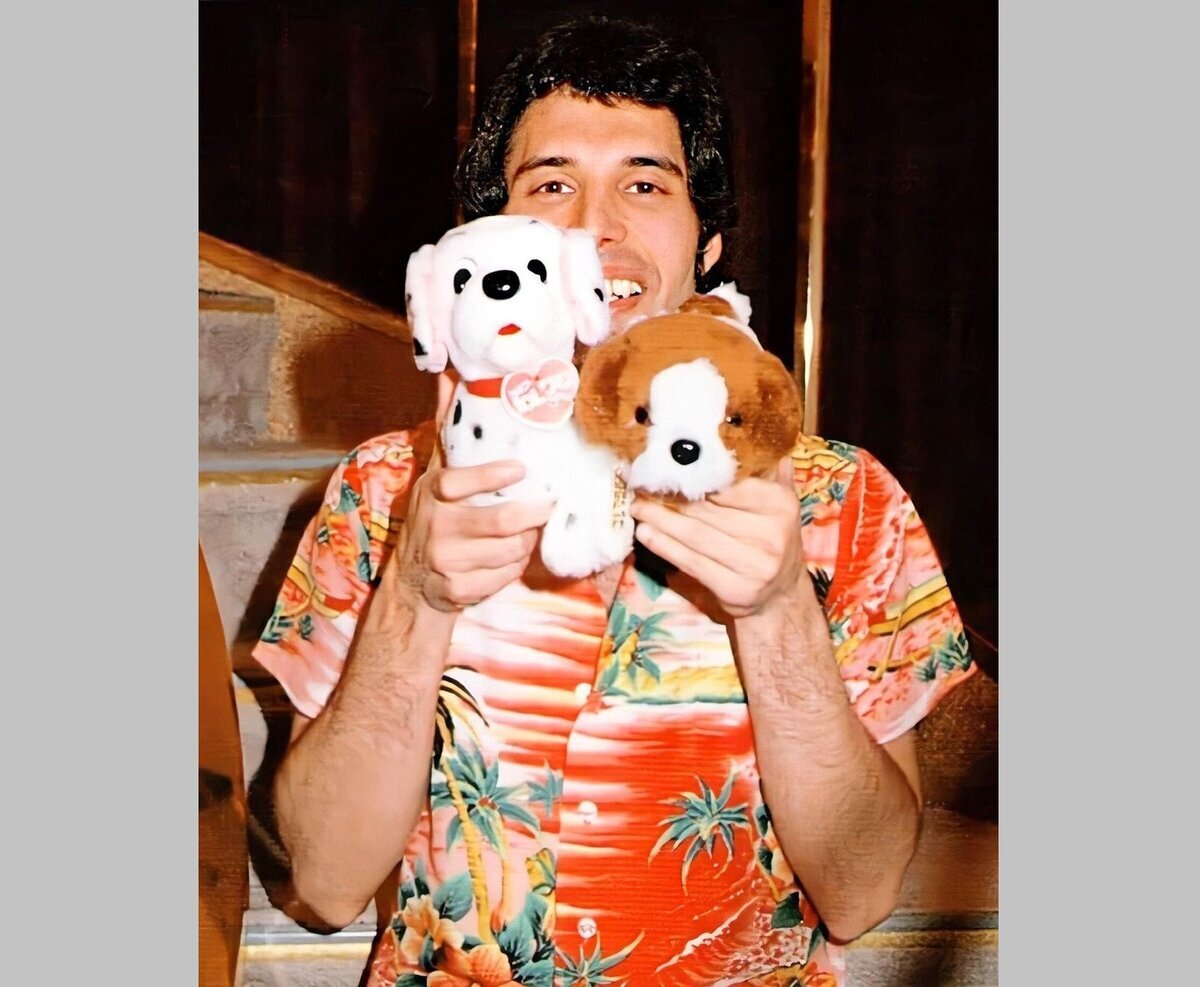 FREDDIE MERCURY: С ЛЮБОВЬЮ К ЖИЗНИ!