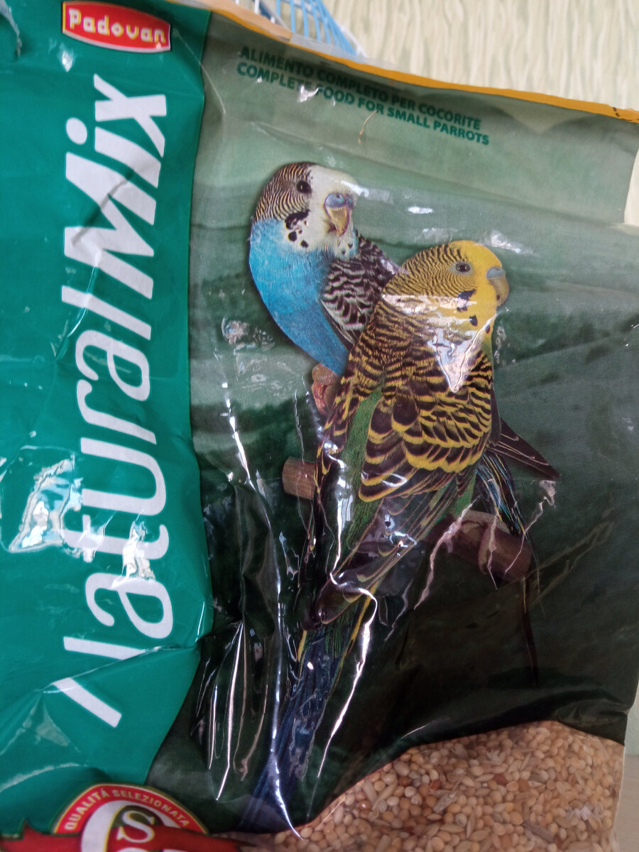 Здравствуйте мои дорогие подписчики и гости моего канала. Сегодня хочу с вами поговорить на тему, наши братья меньшие Так хочется, чтобы все двуногие, понимали, что животные это не игрушки. Наблюдала на днях, как дети дома мучают своих животных, такое впечатление, что они не понимают, что это живое существо. Дорогие родители, если вы завели животное в доме, то поговорите со своими детками и объясните им, что котик, собачка или хомячок, это не игрушка и что не нужно тискать его каждую минуту. Пусть ваша кошка поспит или поест спокойно, без ваших детей. Иногда люди заводят как игрушку для своего ребёнка, ну этого делать нельзя. Думаю что с моими замечаниями, согласятся многие люди, которые любят животных. Берегите своих животных и не давайте их в обиду!!!
 