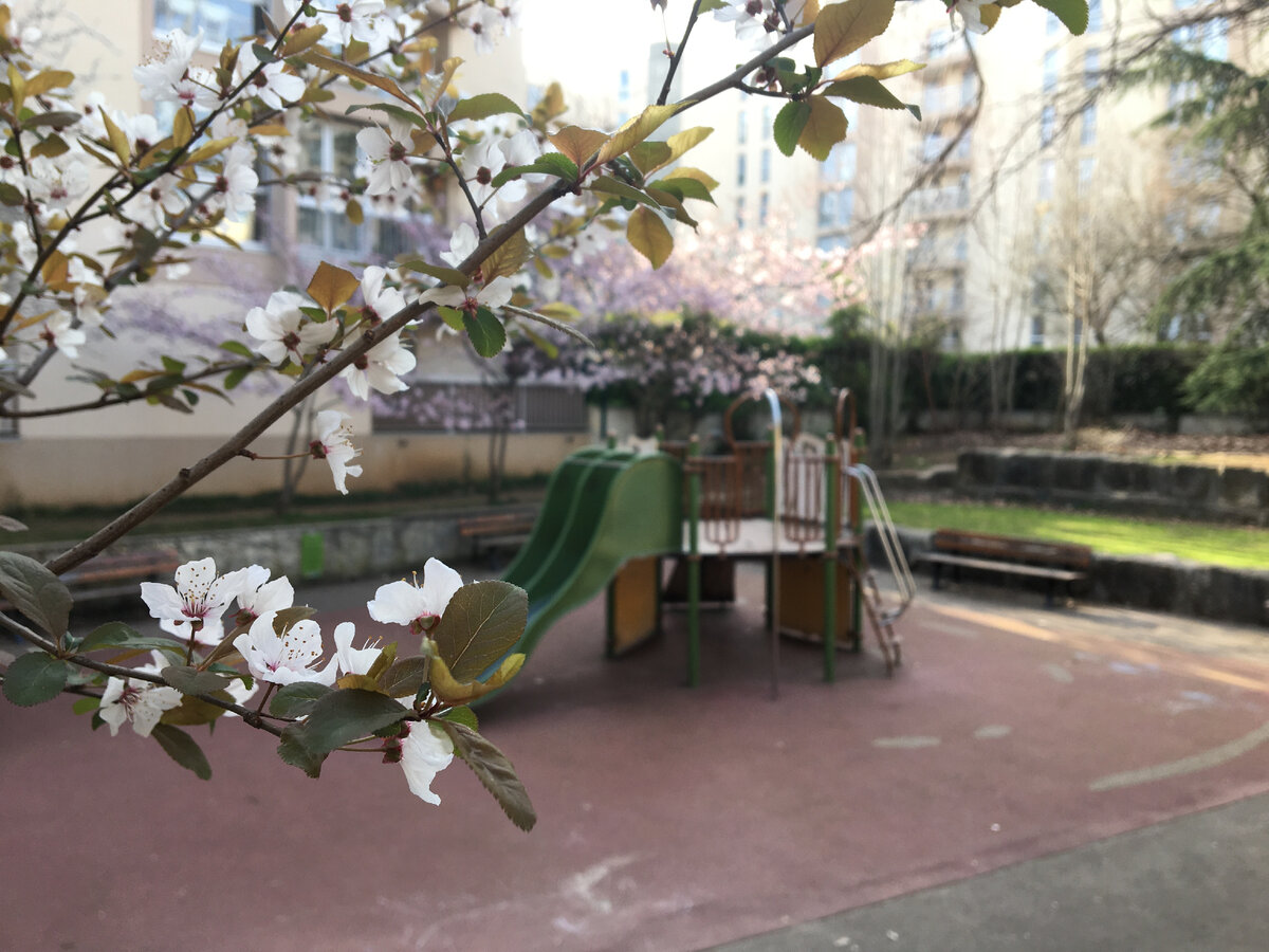 Франция. Лион.