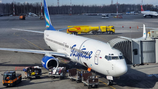 Boeing 737-800 а/к Якутия, рейс Якутск - Санкт-Петербург