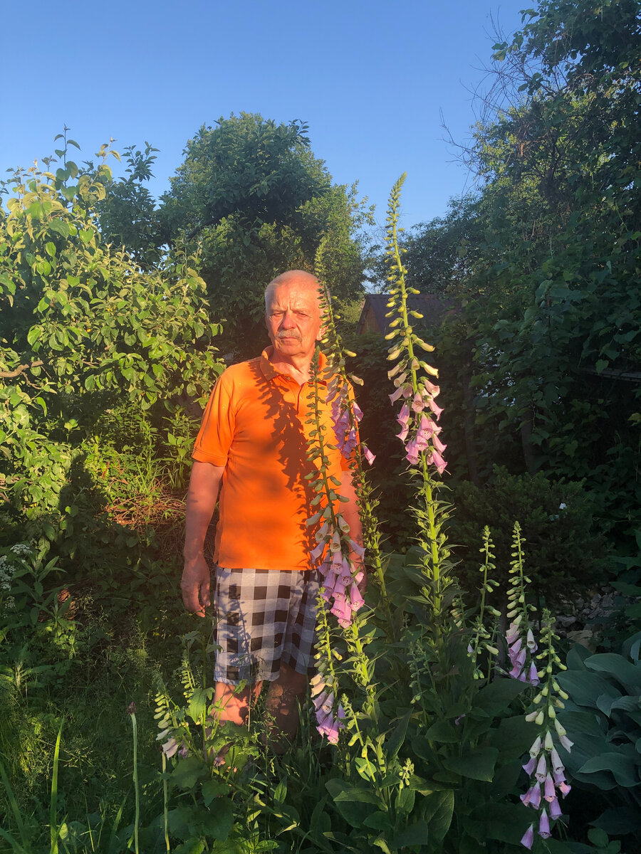 Извините, я - для масштаба.