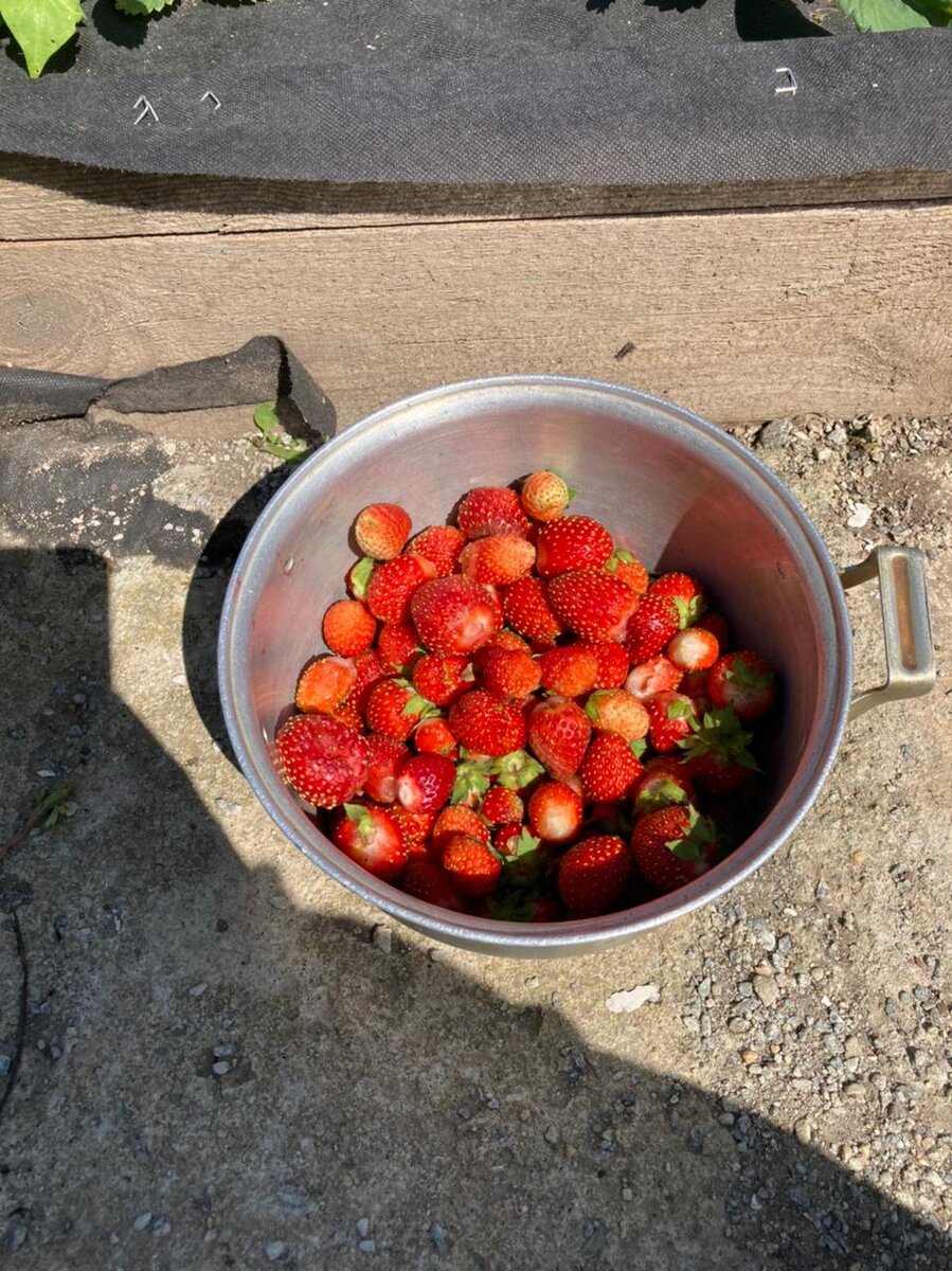 Личное