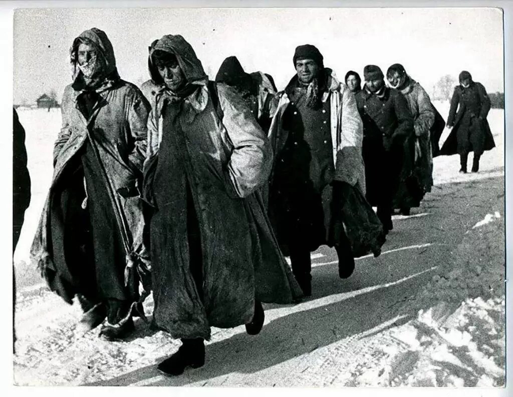 Итальянцы, сдающиеся под Сталинградом