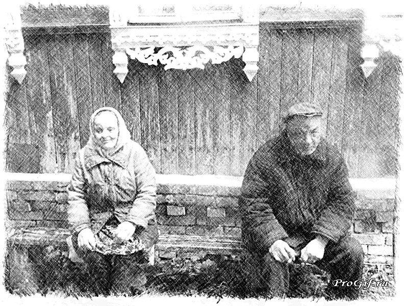 Фото из открытого источника