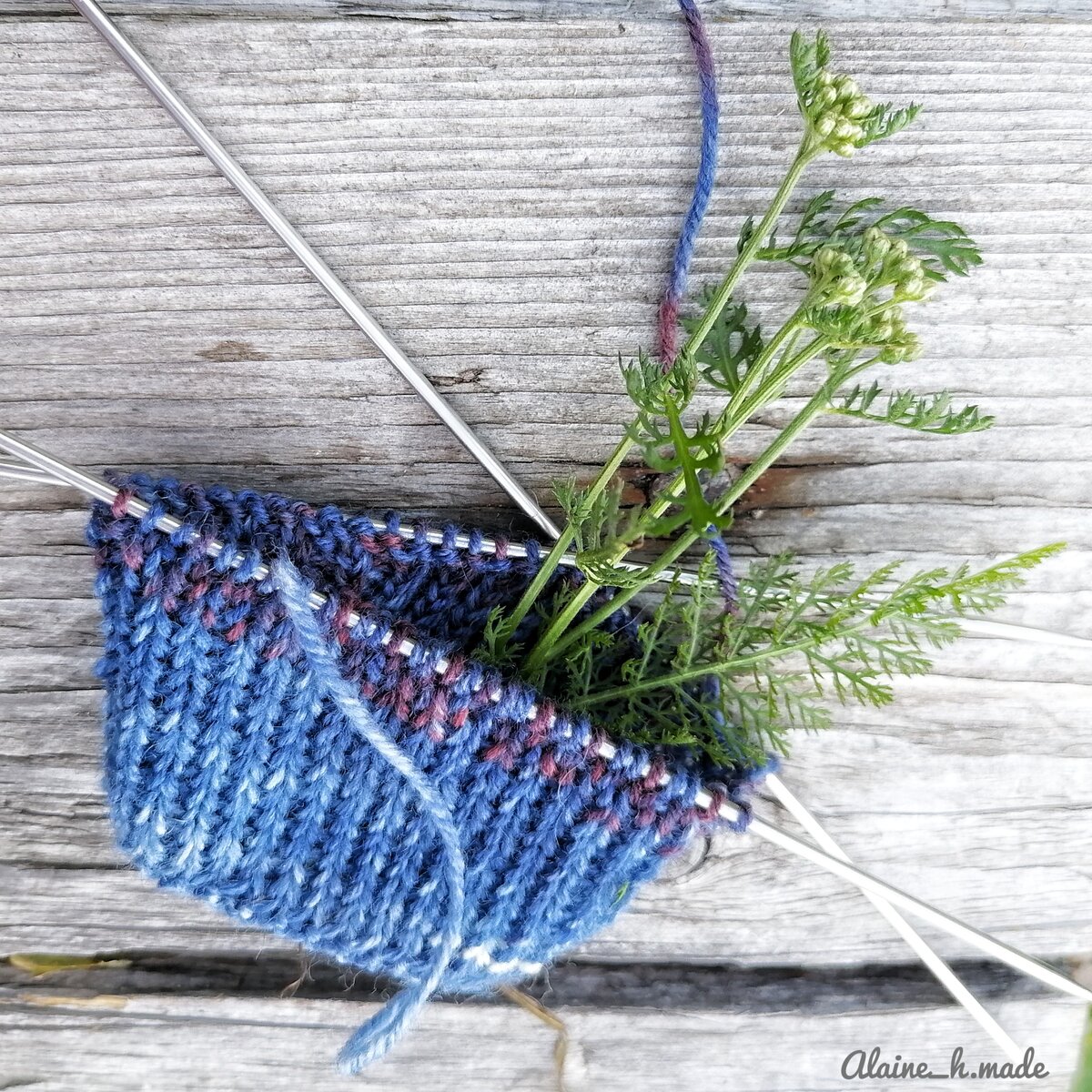 Фото Автора Носки из Opal