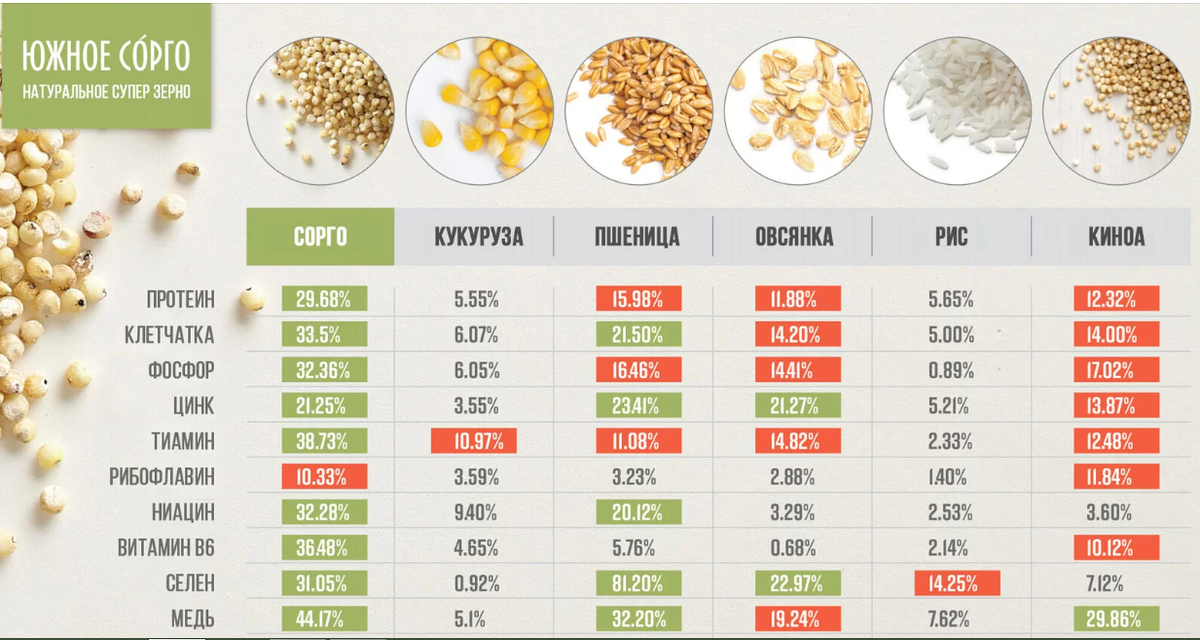 Сорго рецепт. Сорго каша. Сорго крупа рецепты приготовления. Сорго каша рецепт. Молочная каша из сорго.